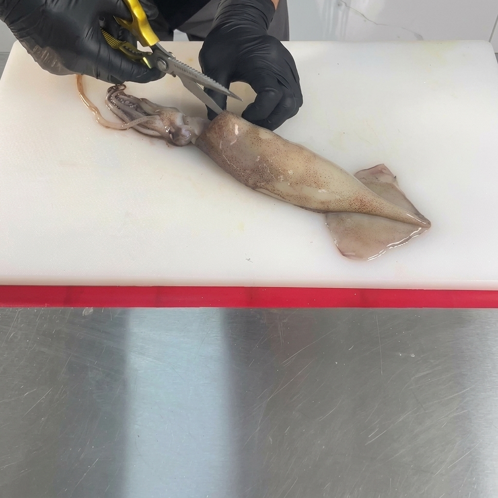 위생 장갑을 낀 손으로 흰 도마 위에 놓인 생오징어의 몸통 가운데를 주방 가위로 조심스럽게 자르는 모습.