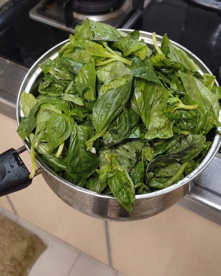 금속 냄비에 모여 있는 신선하고 깨끗한 바질 잎.