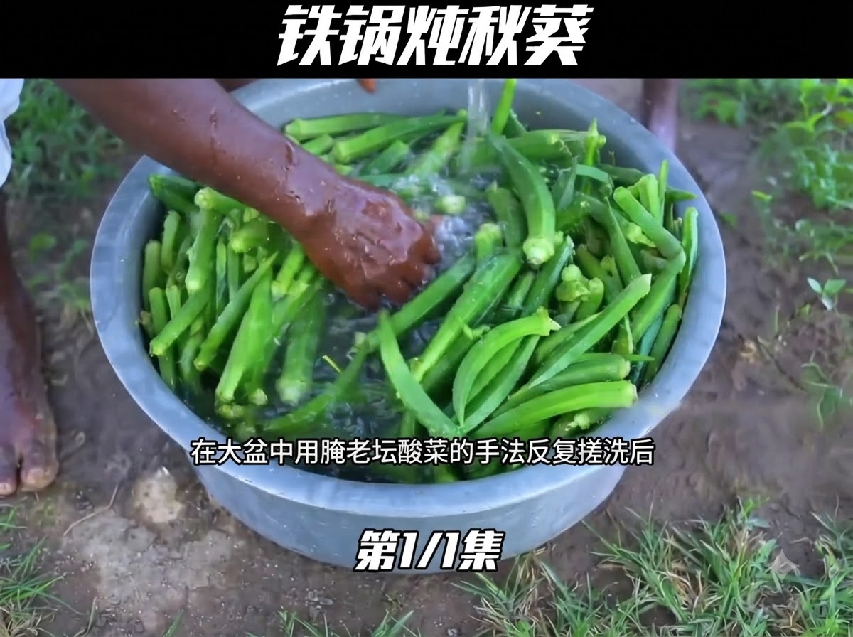 큰 금속 대야 안에서 흐르는 물에 깨끗이 씻기고 있는 생 녹색 오크라.